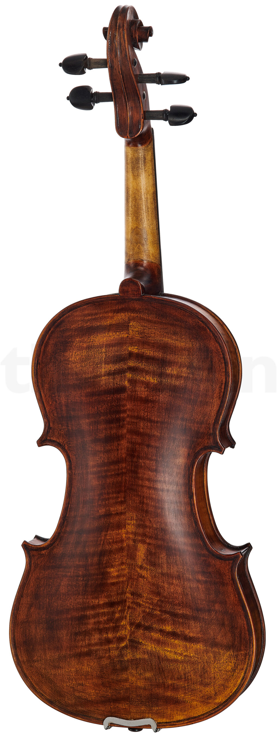 כלי קשת Stentor SR1884 Violin Arcadia Antik 2 17769423.jpg