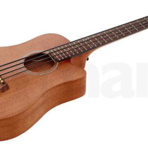 גיטרת בס Gold Tone Micro Bass 23 w/Bag