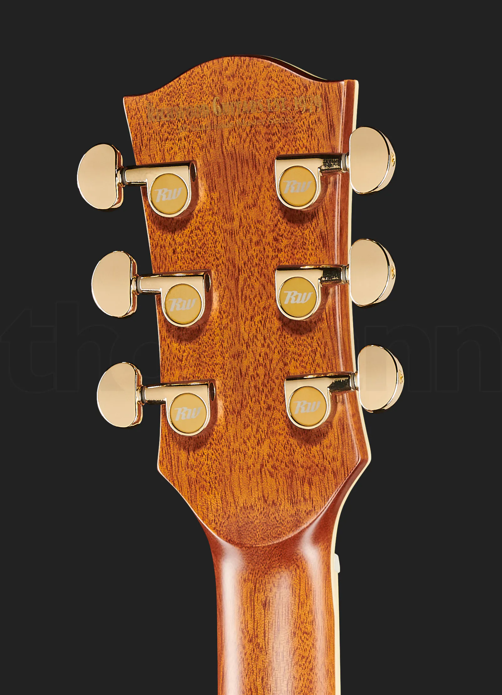 גיטרה אקוסטית Richwood A-70-EVA Auditorium 5 גיטרה אקוסטית Richwood A-70-EVA Auditorium – תמונה 5