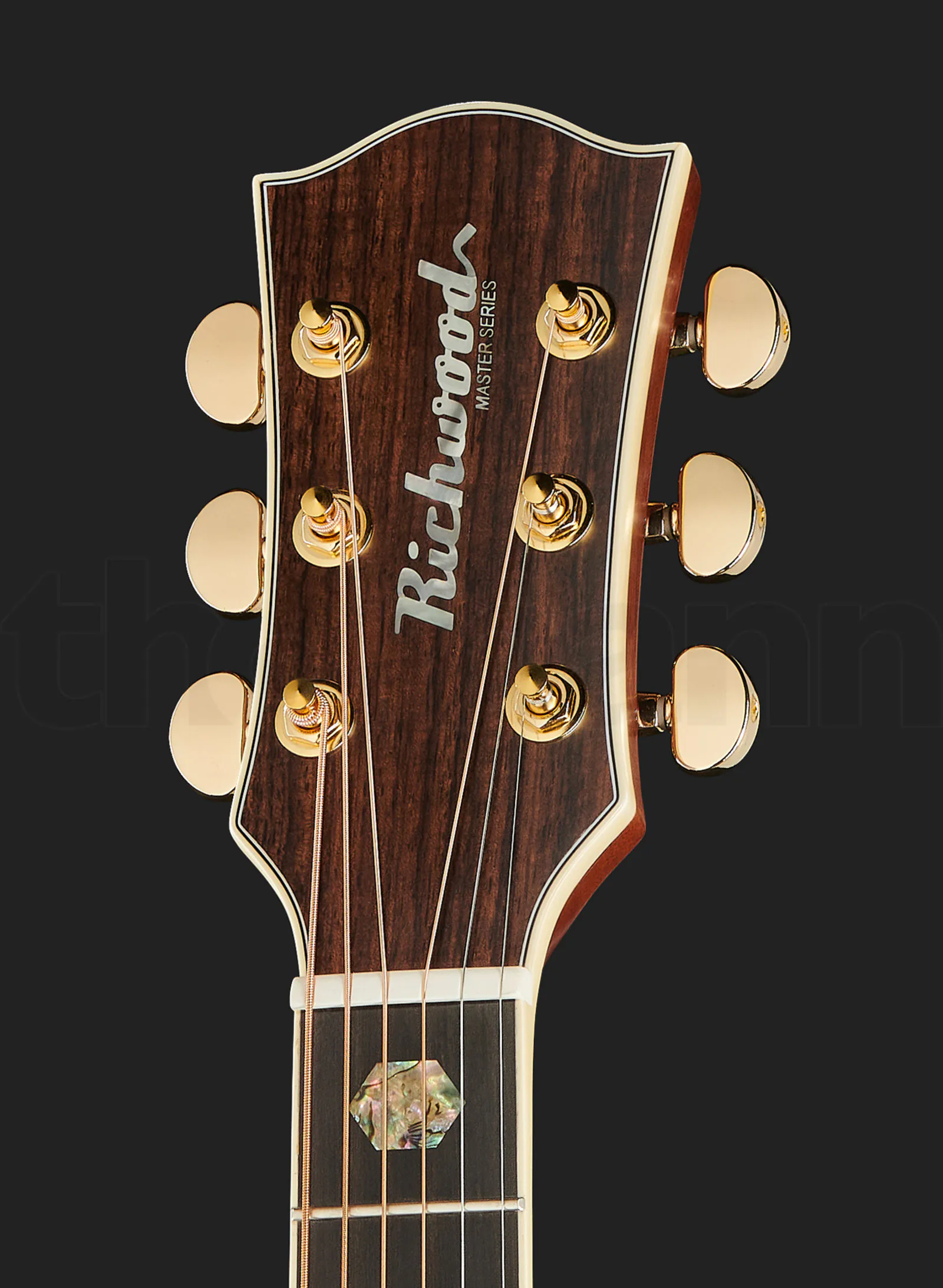 גיטרה אקוסטית Richwood A-70-EVA Auditorium 4 גיטרה אקוסטית Richwood A-70-EVA Auditorium – תמונה 4