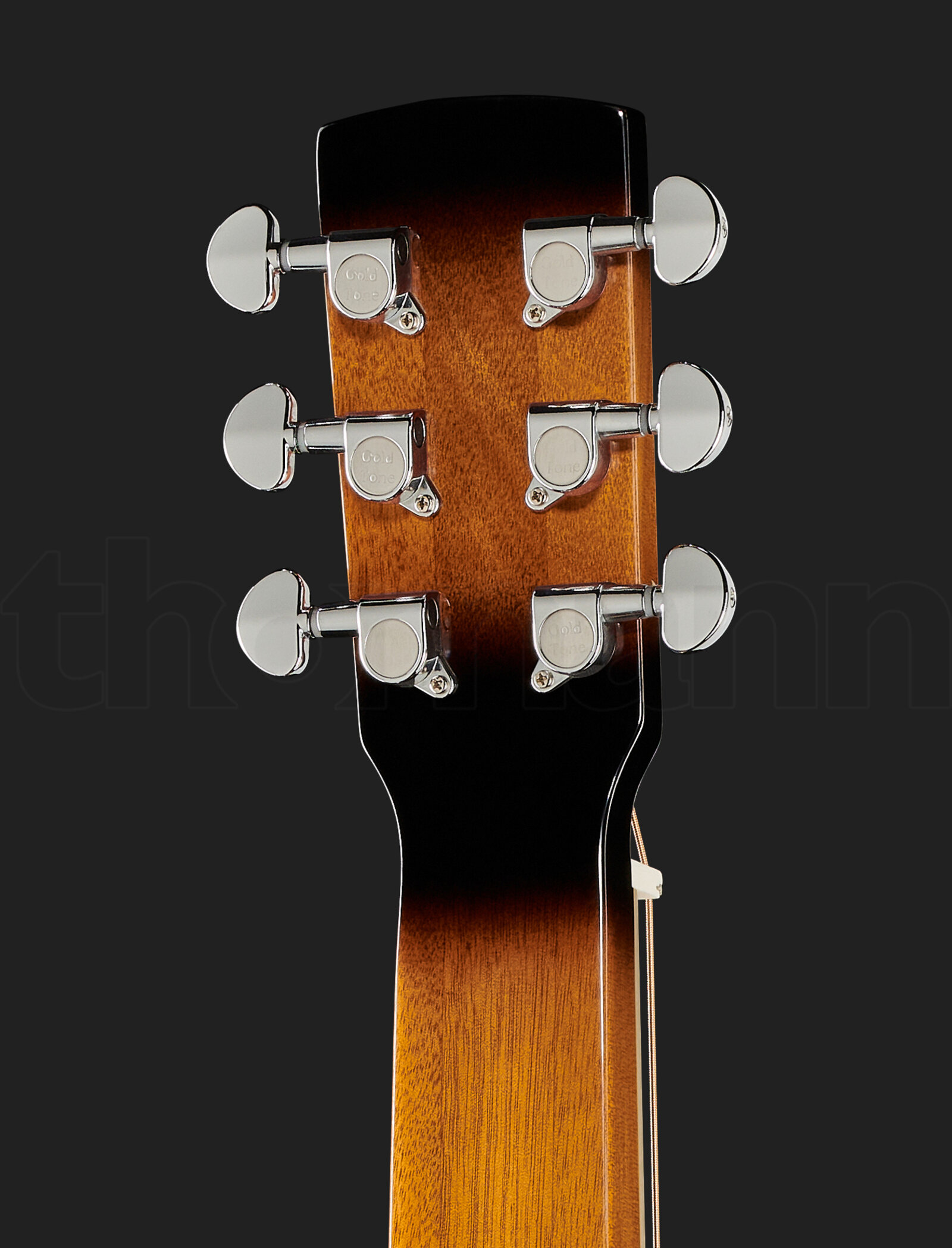 גיטרה אקוסטית Gold Tone PBS 5 גיטרה אקוסטית Gold Tone PBS – תמונה 5