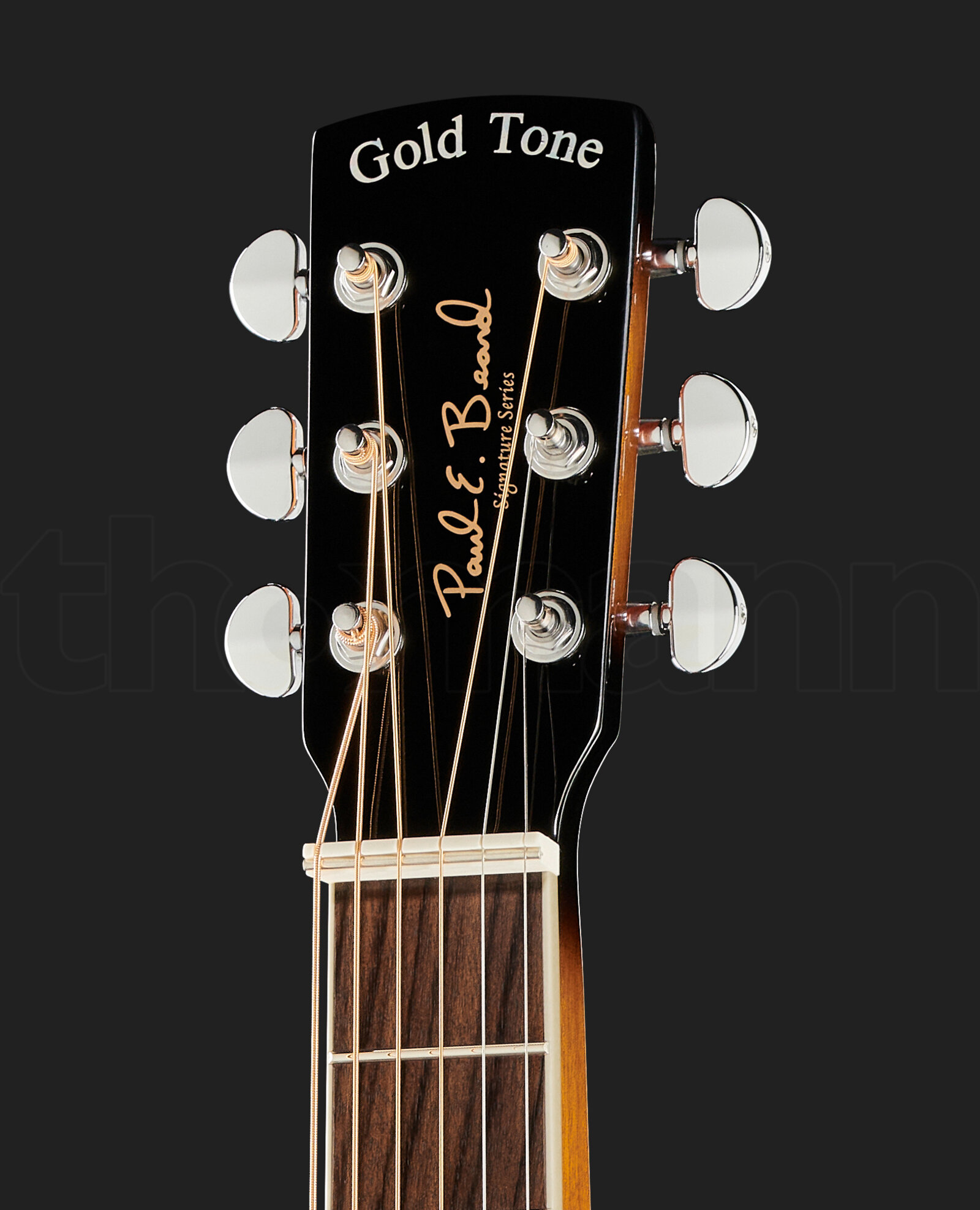 גיטרה אקוסטית Gold Tone PBS 4 גיטרה אקוסטית Gold Tone PBS – תמונה 4