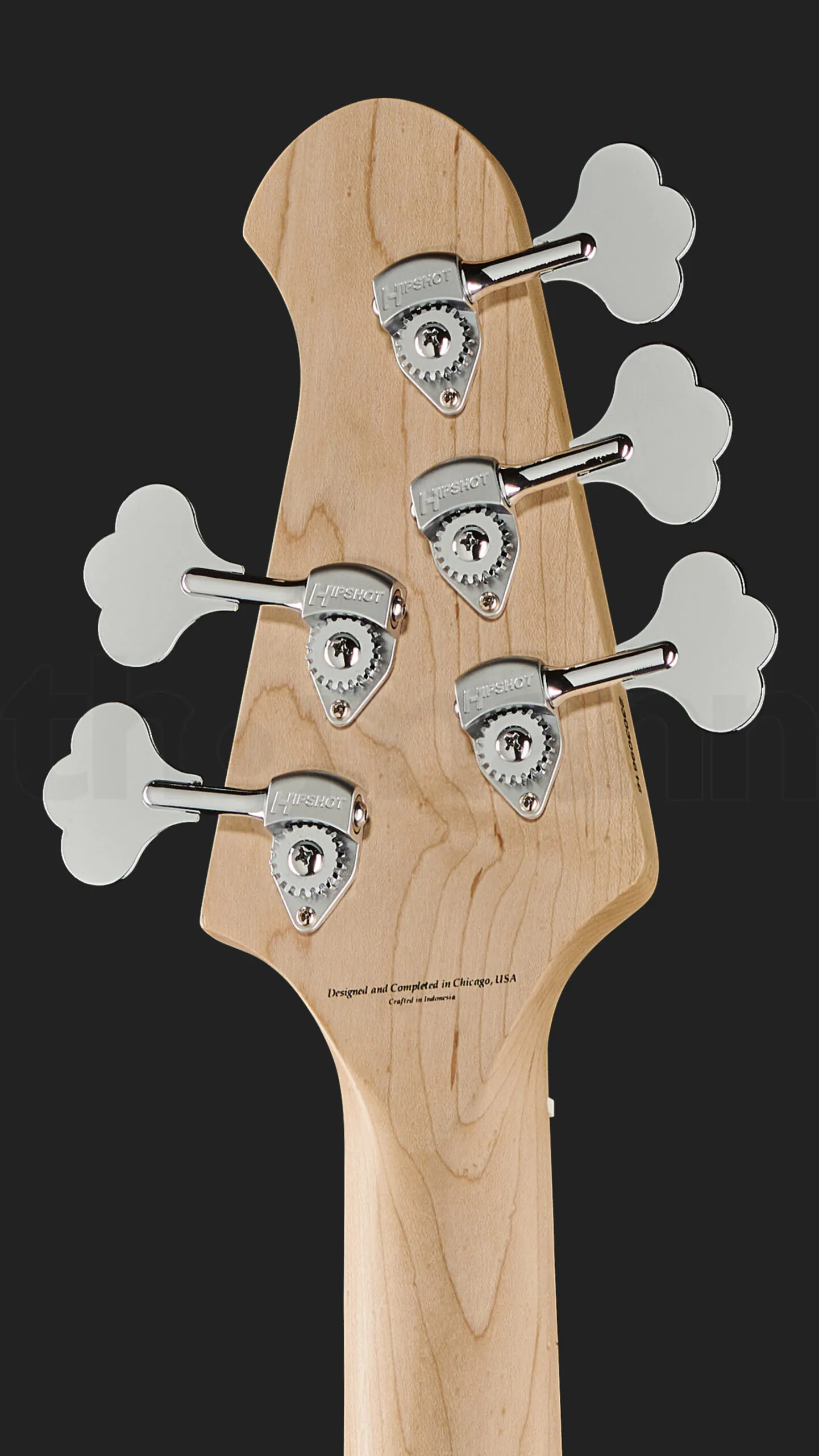 גיטרת בס Lakland Skyline 55-01 5-String 3TSB 5 גיטרת בס Lakland Skyline 55-01 5-String 3TSB – תמונה 5