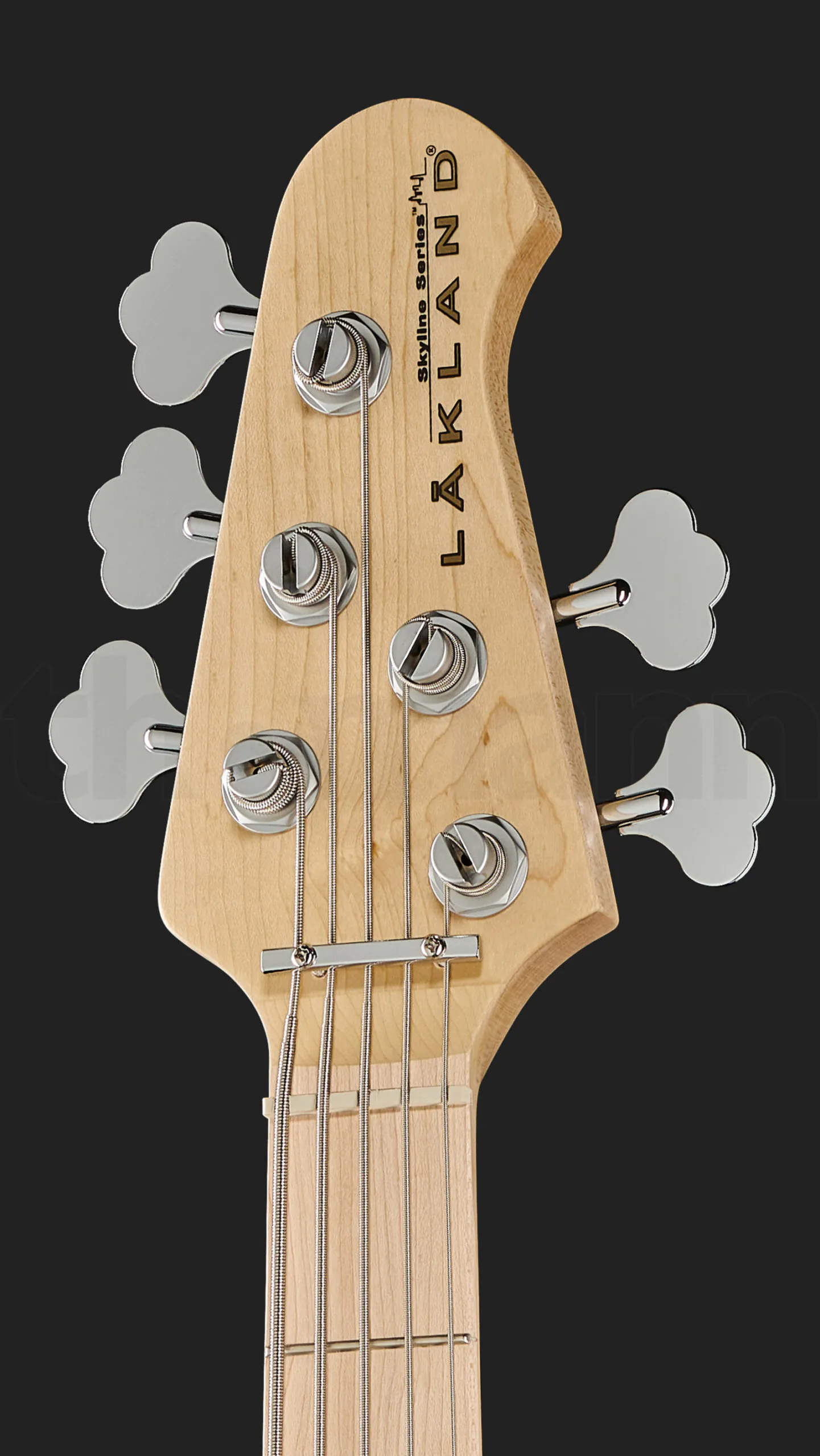 גיטרת בס Lakland Skyline 55-01 5-String 3TSB 4 גיטרת בס Lakland Skyline 55-01 5-String 3TSB – תמונה 4