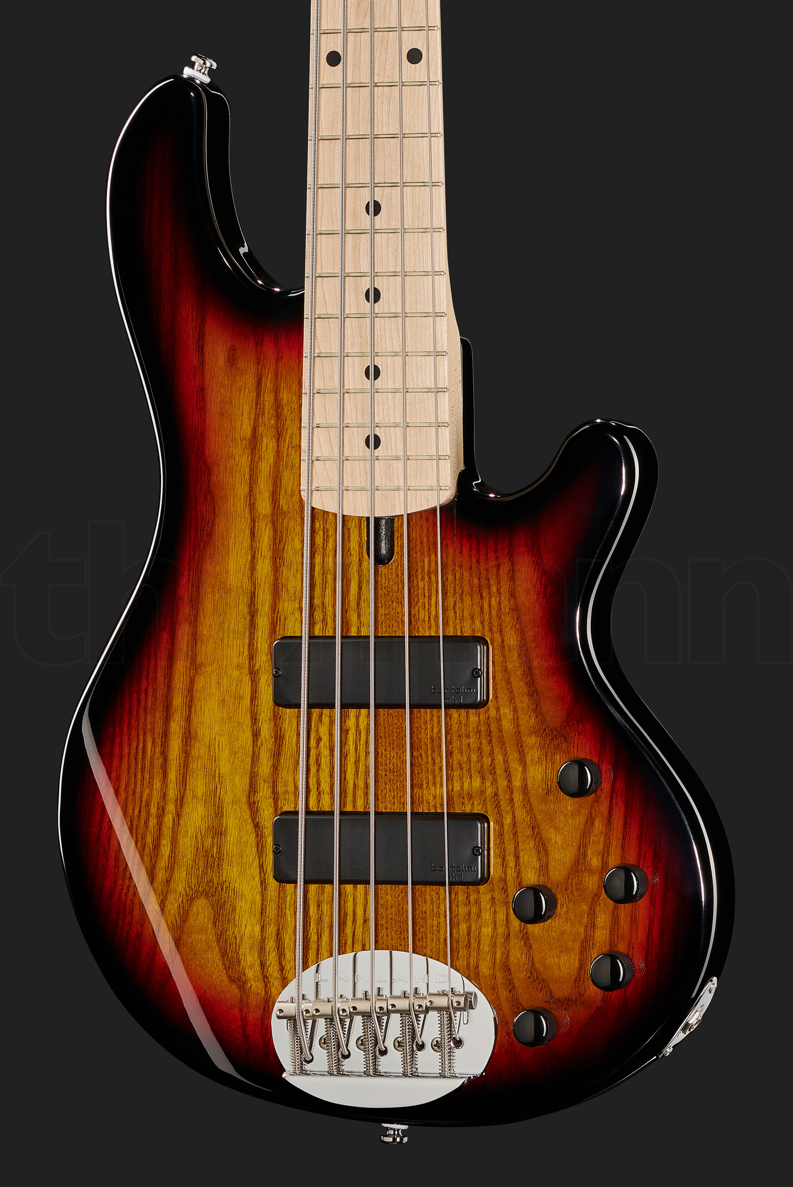 גיטרת בס Lakland Skyline 55-01 5-String 3TSB 2 גיטרת בס Lakland Skyline 55-01 5-String 3TSB – תמונה 2