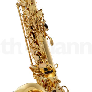 כלי נשיפה מעץ Buffet Crampon Prodige Alto Sax