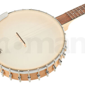 בנג׳ו Gold Tone CC-Carlin 12 5-string Banjo