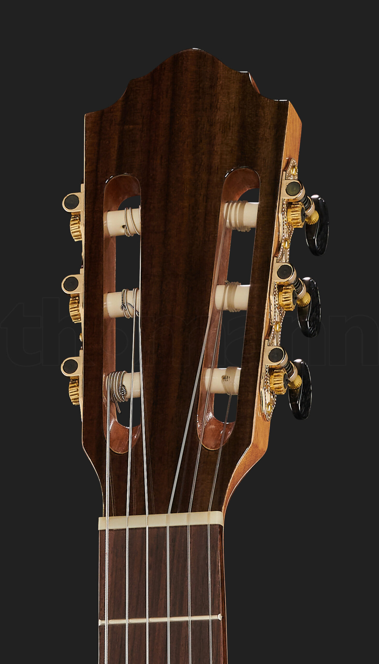 גיטרה אקוסטית Höfner HF17 5 18931951.jpg