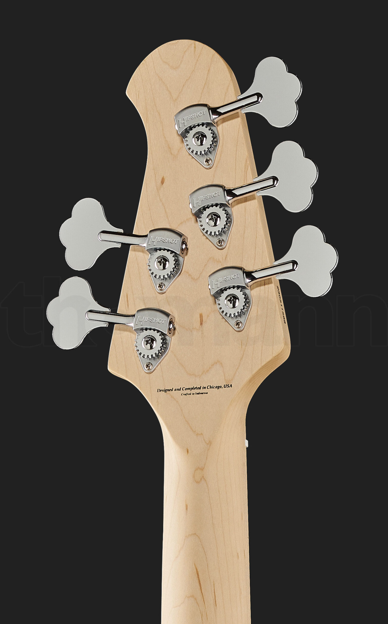 גיטרת בס Lakland Skyline 55-01 5-String NAT 5 גיטרת בס Lakland Skyline 55-01 5-String NAT – תמונה 5
