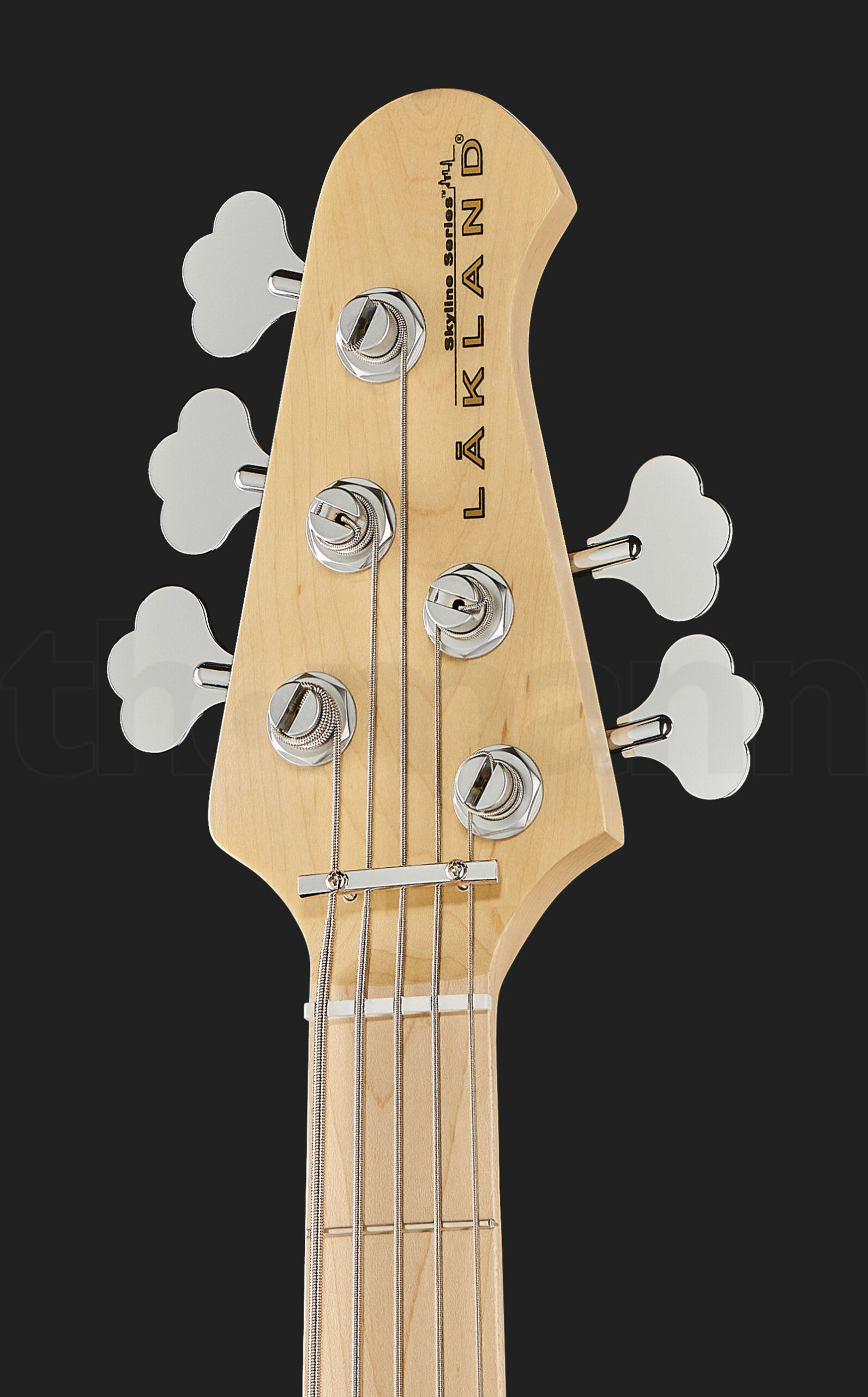 גיטרת בס Lakland Skyline 55-01 5-String NAT 4 גיטרת בס Lakland Skyline 55-01 5-String NAT – תמונה 4