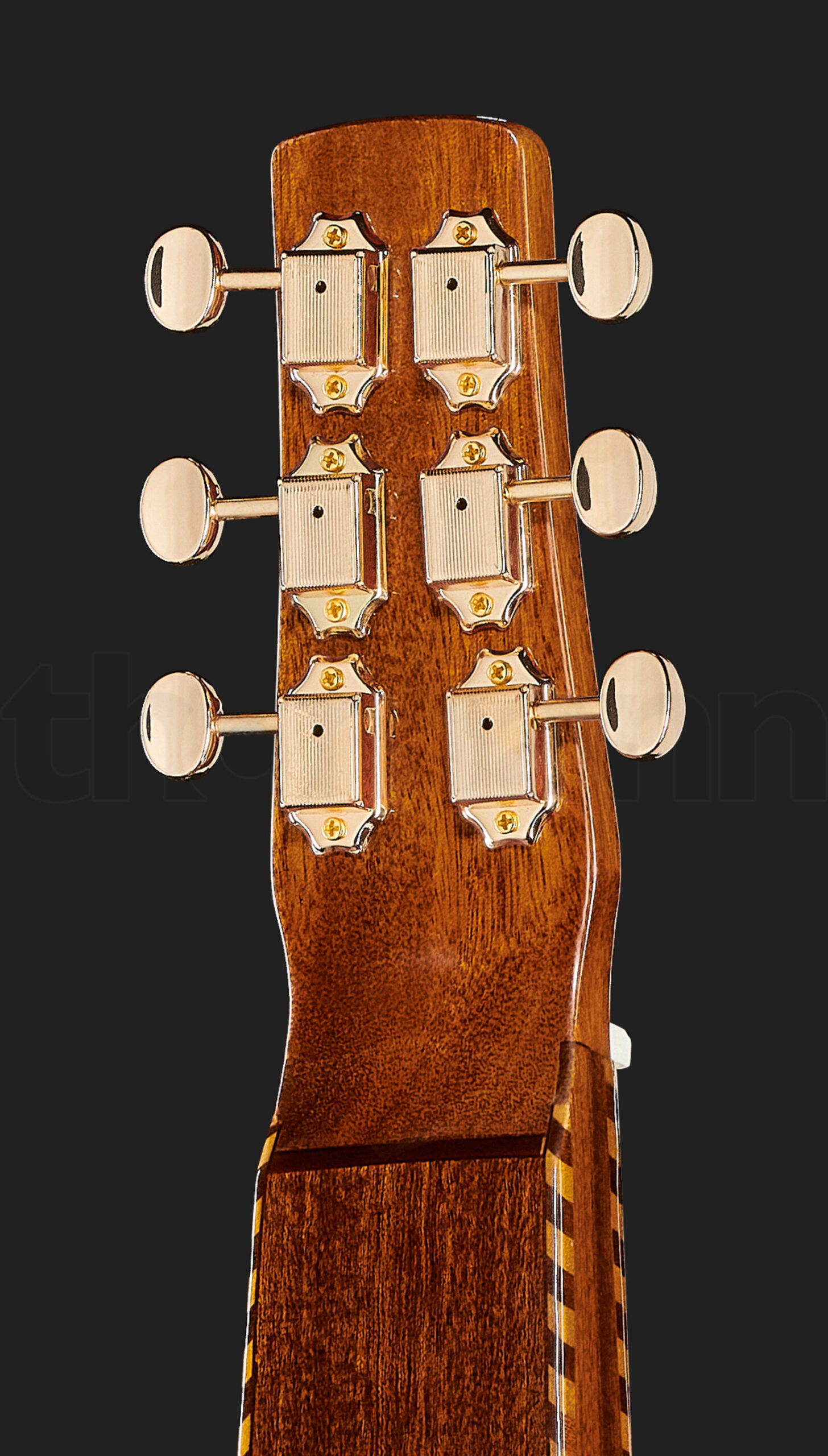 גיטרת לאפ סטיל Gold Tone SM+ Weissenborn 5 גיטרת לאפ סטיל Gold Tone SM+ Weissenborn – תמונה 5