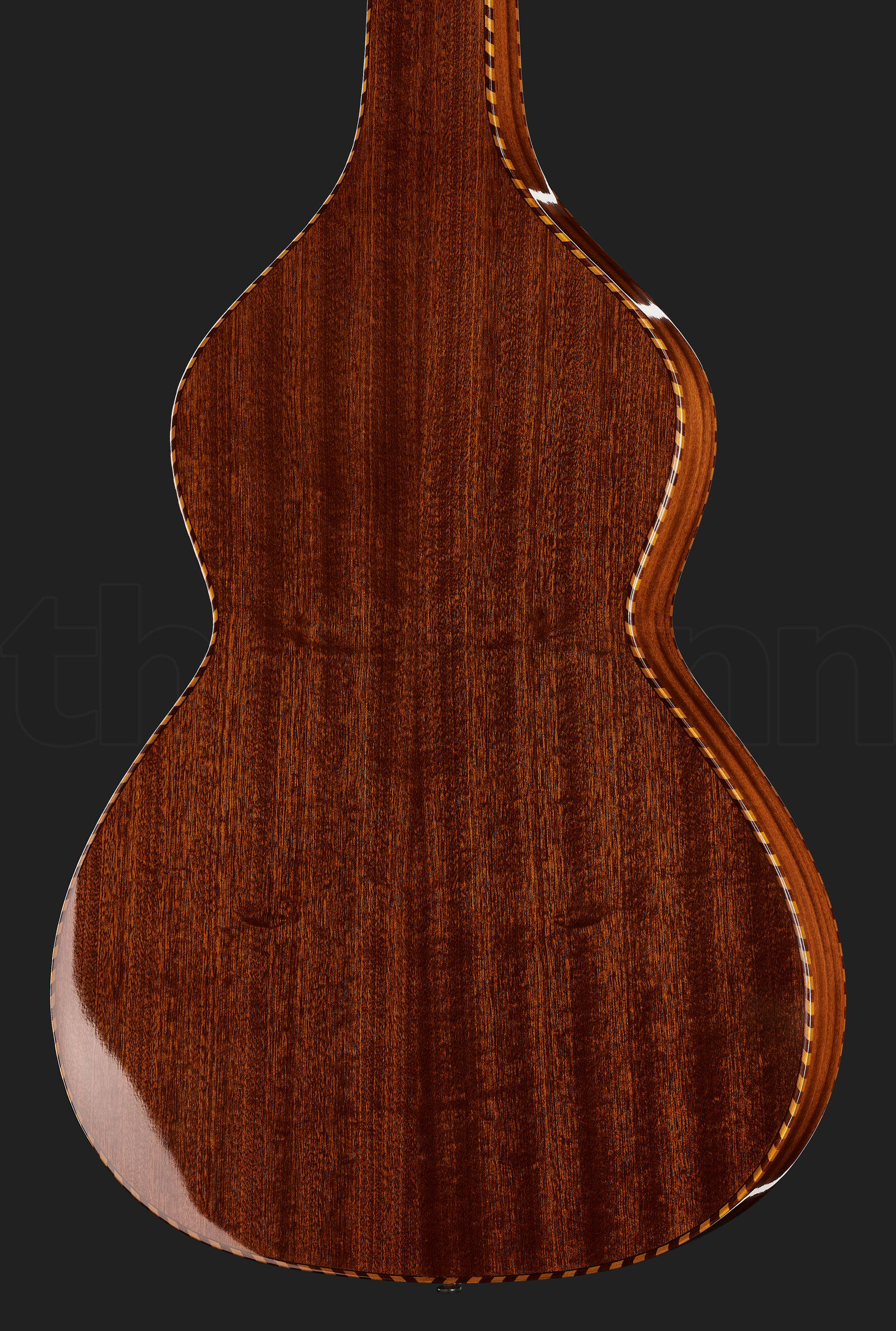 גיטרת לאפ סטיל Gold Tone SM+ Weissenborn 3 גיטרת לאפ סטיל Gold Tone SM+ Weissenborn – תמונה 3