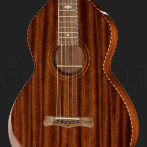 גיטרת לאפ סטיל Gold Tone SM+ Weissenborn