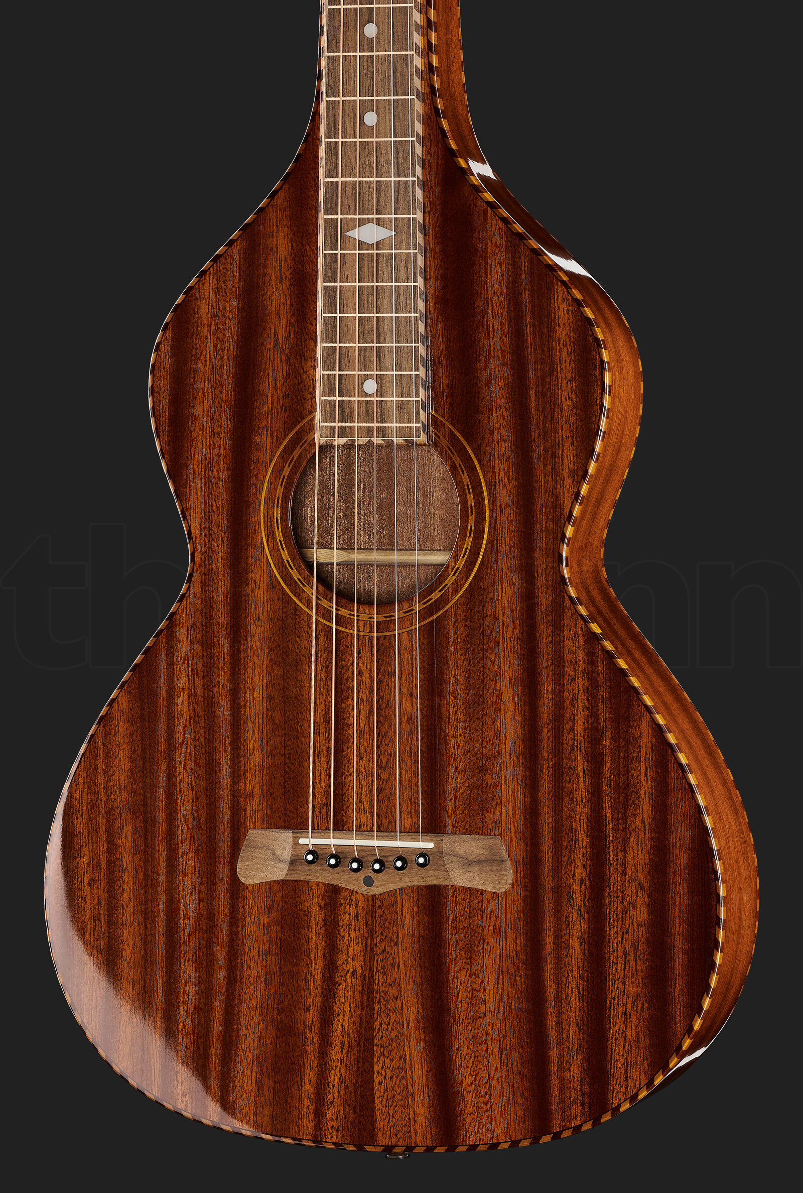 גיטרת לאפ סטיל Gold Tone SM+ Weissenborn 2 גיטרת לאפ סטיל Gold Tone SM+ Weissenborn – תמונה 2