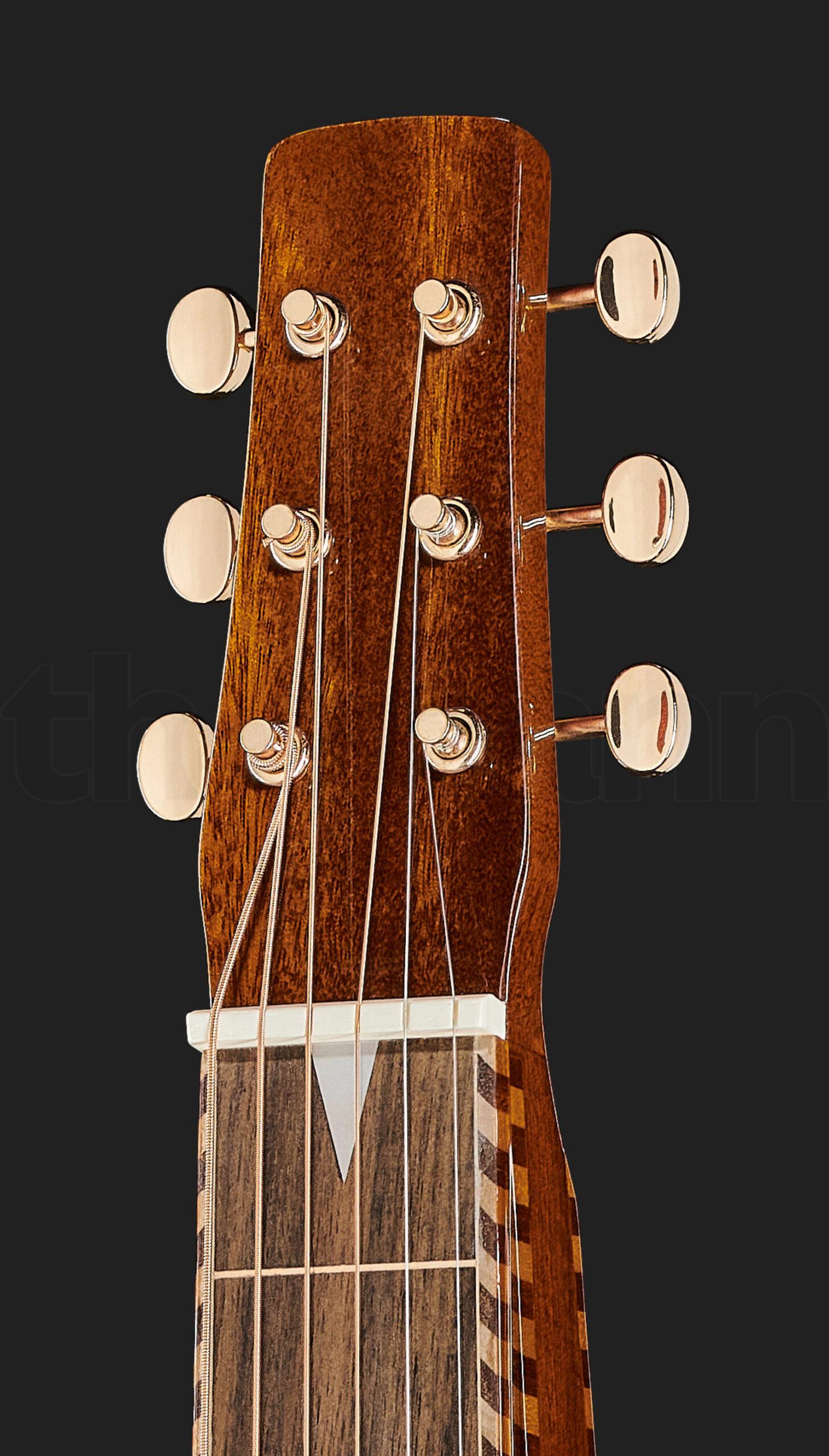 גיטרת לאפ סטיל Gold Tone SM+ Weissenborn 4 גיטרת לאפ סטיל Gold Tone SM+ Weissenborn – תמונה 4
