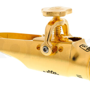 פיה Theo Wanne Lakshmi Alto 8 Gold