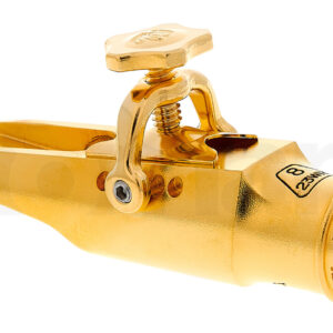פיה Theo Wanne Shiva IV Alto 8 Gold