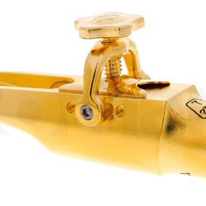 פיה Theo Wanne Shiva IV Alto 7 Gold