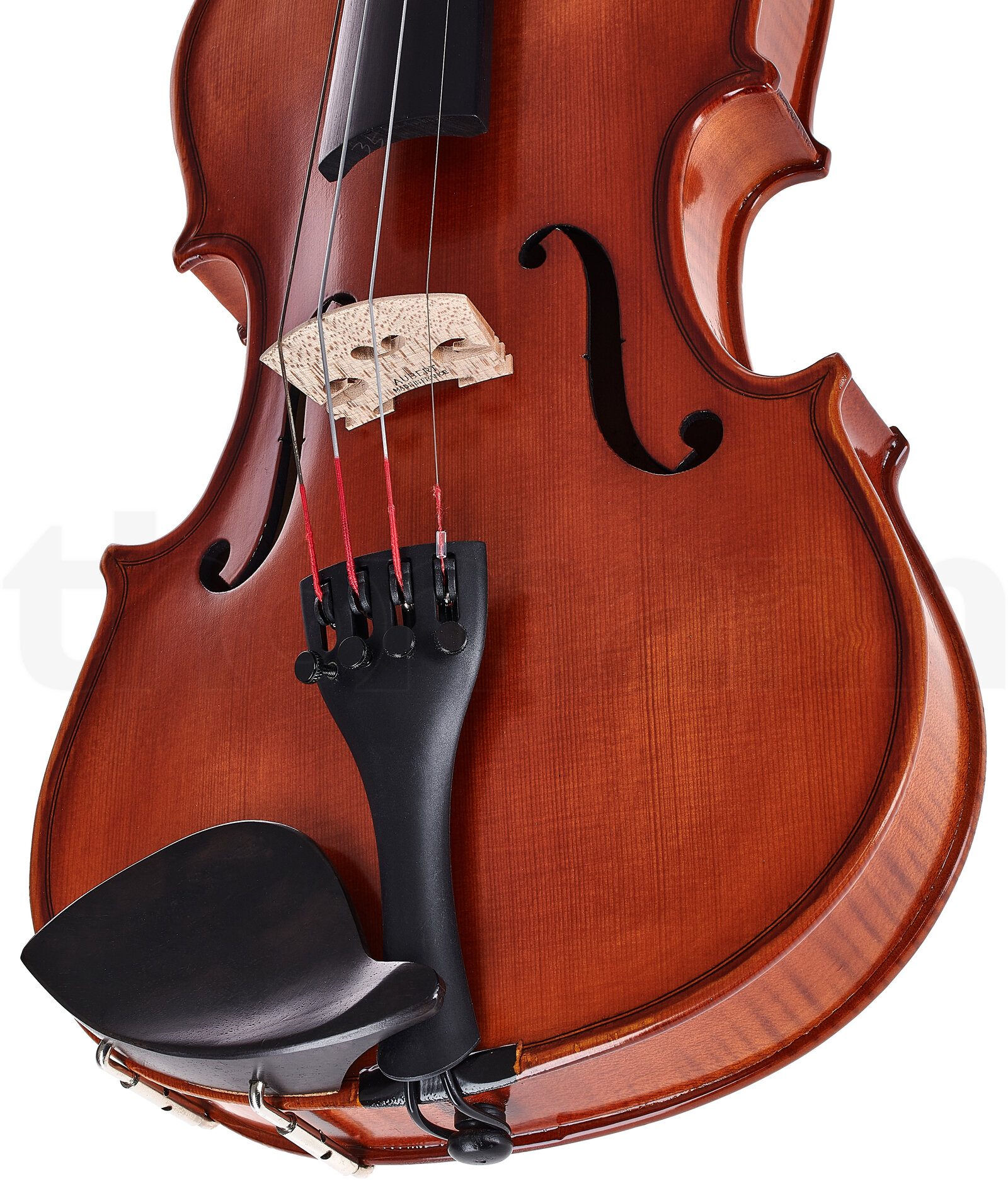 כלי קשת Hidersine Vivente Violin Set 4/4 5 19563390.jpg