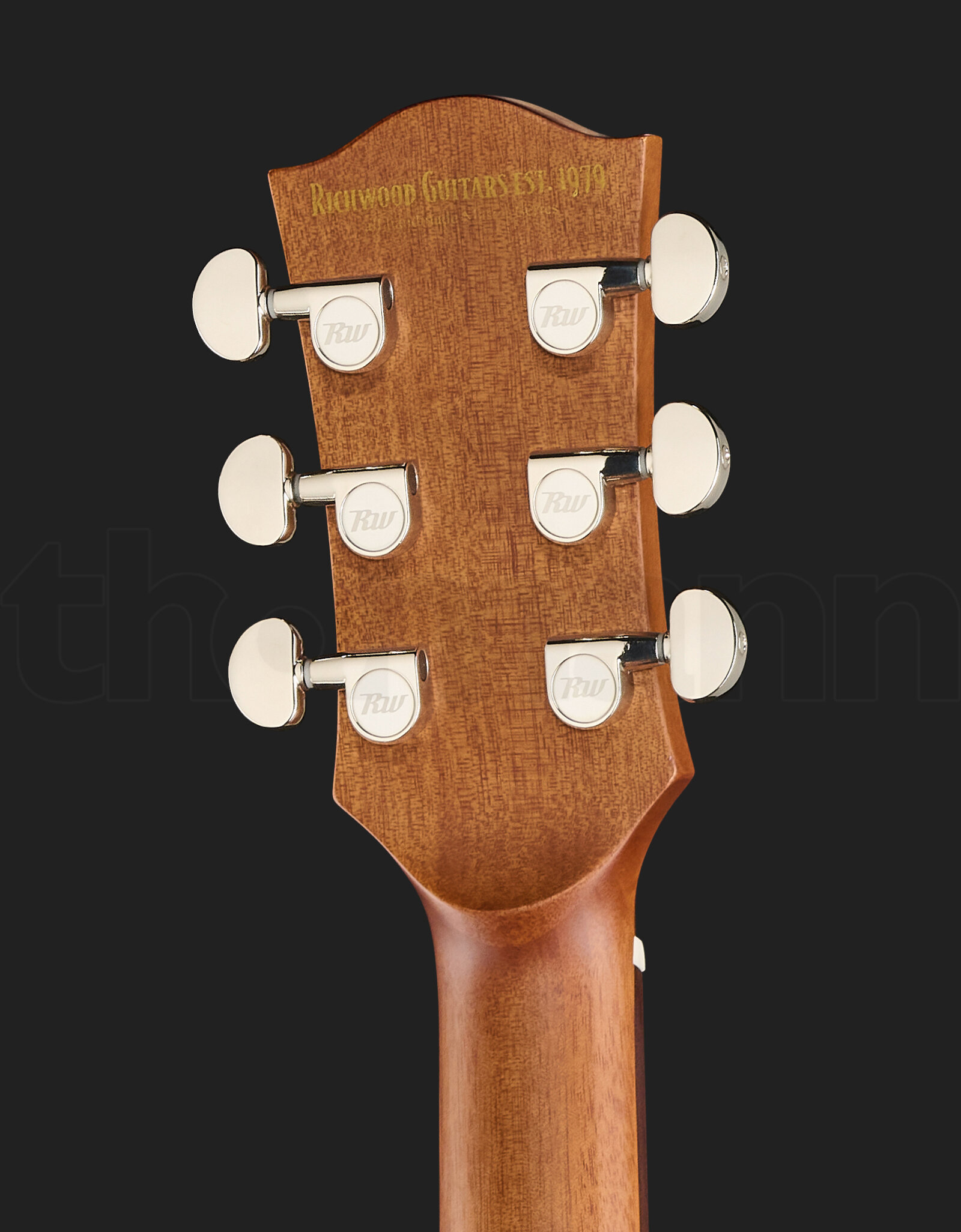 גיטרה אקוסטית Richwood D-65-VA Master Series 6 19806129.jpg
