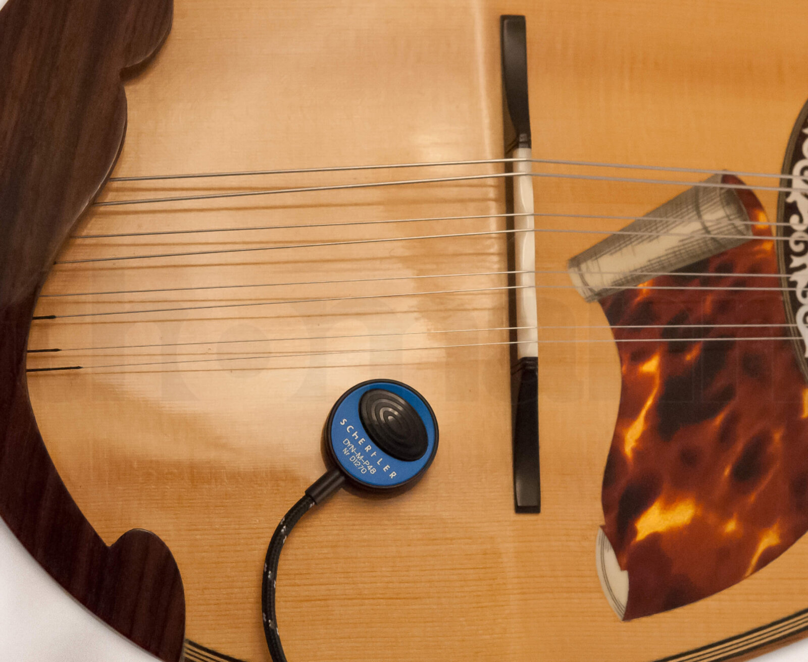 מיקרופון מגע למנדולינה Schertler Dyn-M-P48 Mandolin Micro 3 מיקרופון מגע למנדולינה Schertler Dyn-M-P48 Mandolin Micro – תמונה 3