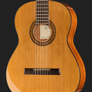 גיטרה אקוסטית Höfner HZ25