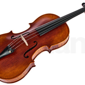 כלי קשת Stentor SR1876 Elysia Viola 15,5″