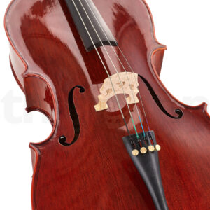 כלי קשת Stentor SR1586 Cello Conservatoire 1/4