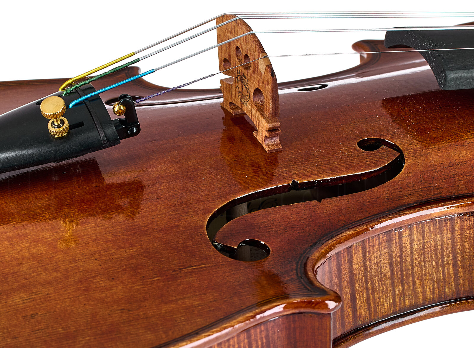 כלי קשת Hidersine Preciso Violin Set Stradivari 5 כלי קשת Hidersine Preciso Violin Set Stradivari – תמונה 5