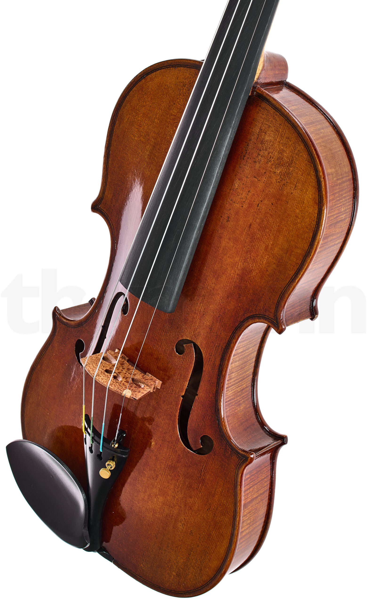 כלי קשת Hidersine Preciso Violin Set Stradivari 3 כלי קשת Hidersine Preciso Violin Set Stradivari – תמונה 3