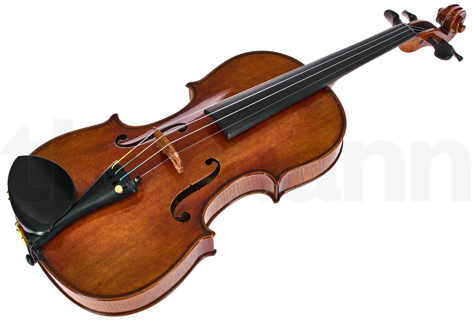 כלי קשת Hidersine Preciso Violin Set Stradivari 2 כלי קשת Hidersine Preciso Violin Set Stradivari – תמונה 2