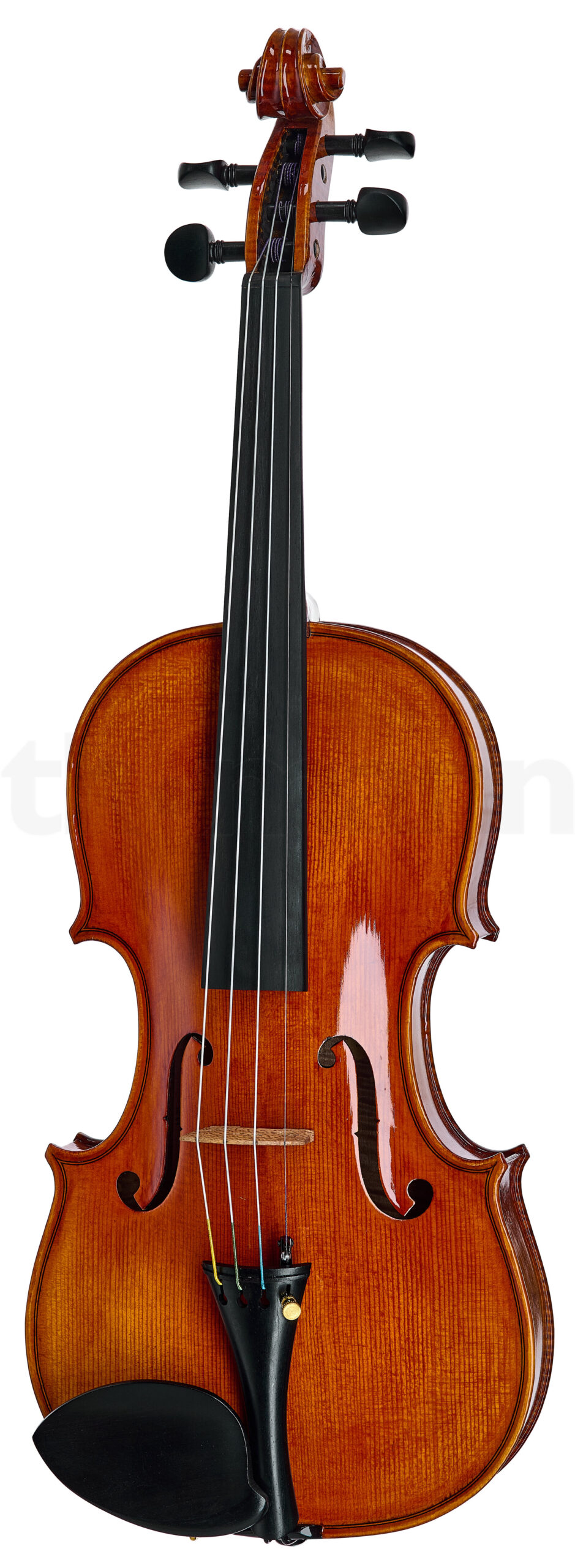 כלי קשת Hidersine Nobile Violin Set Stradivari 1 19987116.jpg