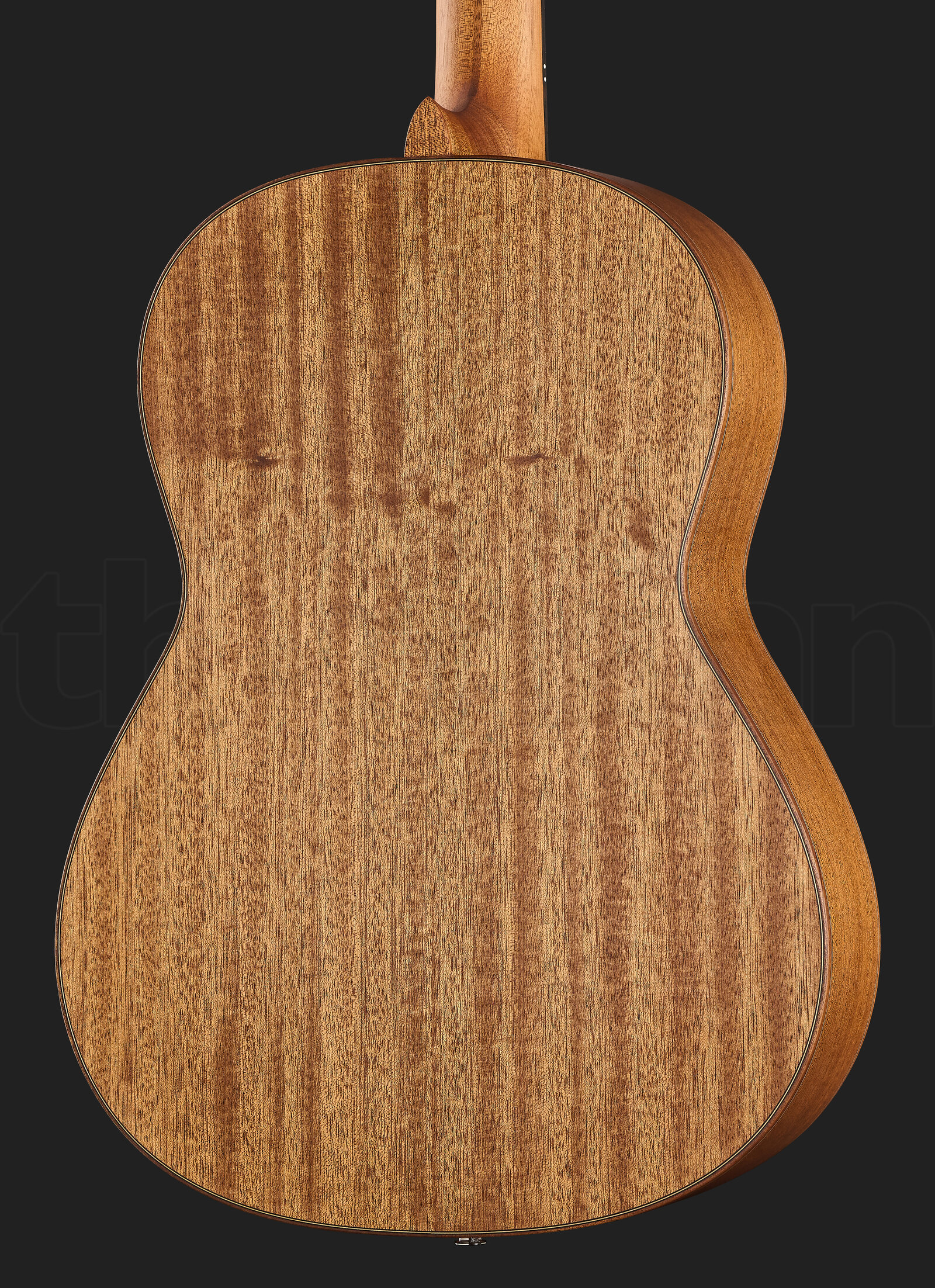 גיטרה אקוסטית Höfner HA-MS5 Steelstring 3 גיטרה אקוסטית Höfner HA-MS5 Steelstring – תמונה 3