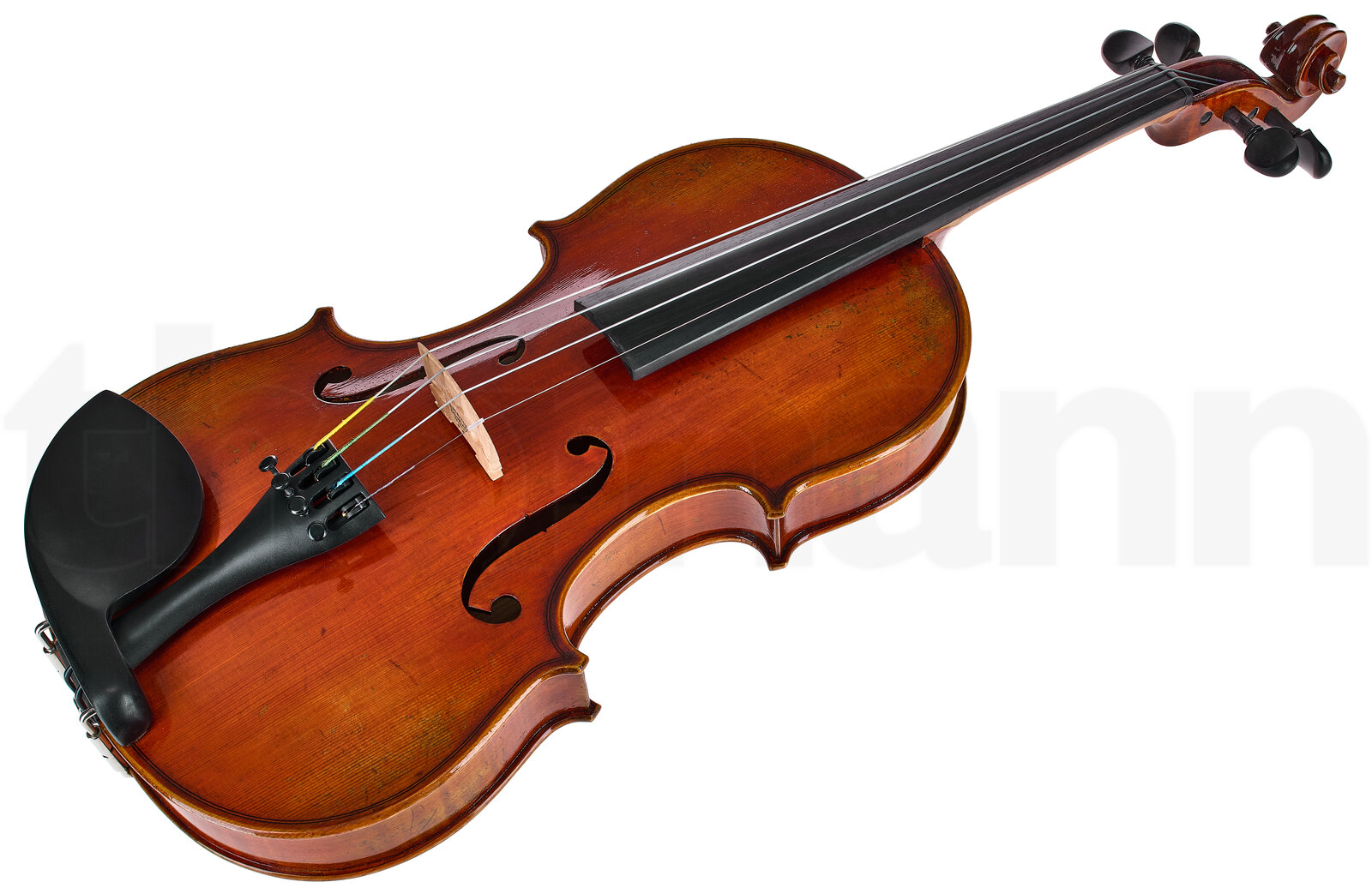 כלי קשת Eastman Albert Nebel Violin VL601G+ 2 כלי קשת Eastman Albert Nebel Violin VL601G+ – תמונה 2