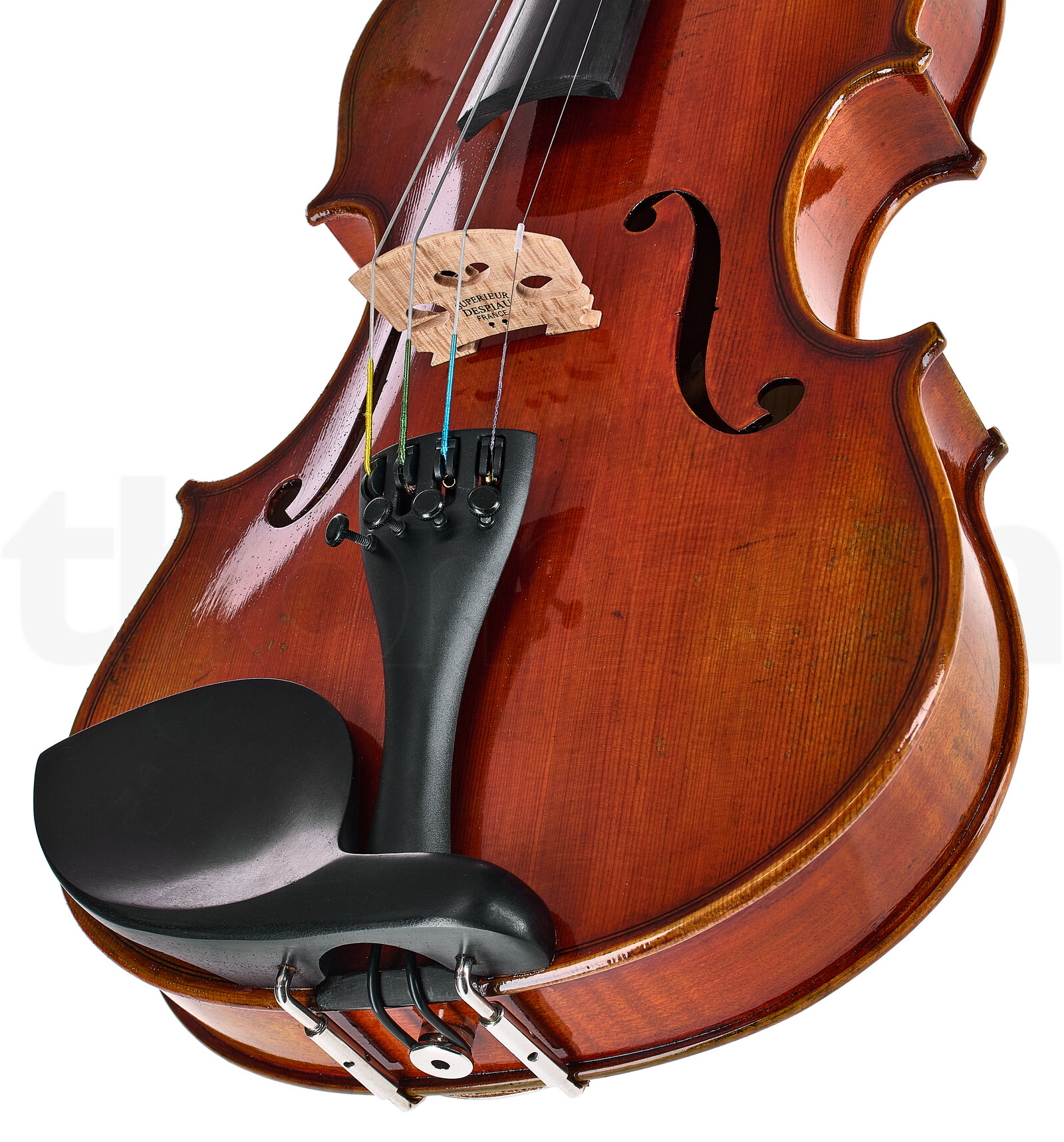 כלי קשת Eastman Albert Nebel Violin VL601G+ 4 כלי קשת Eastman Albert Nebel Violin VL601G+ – תמונה 4