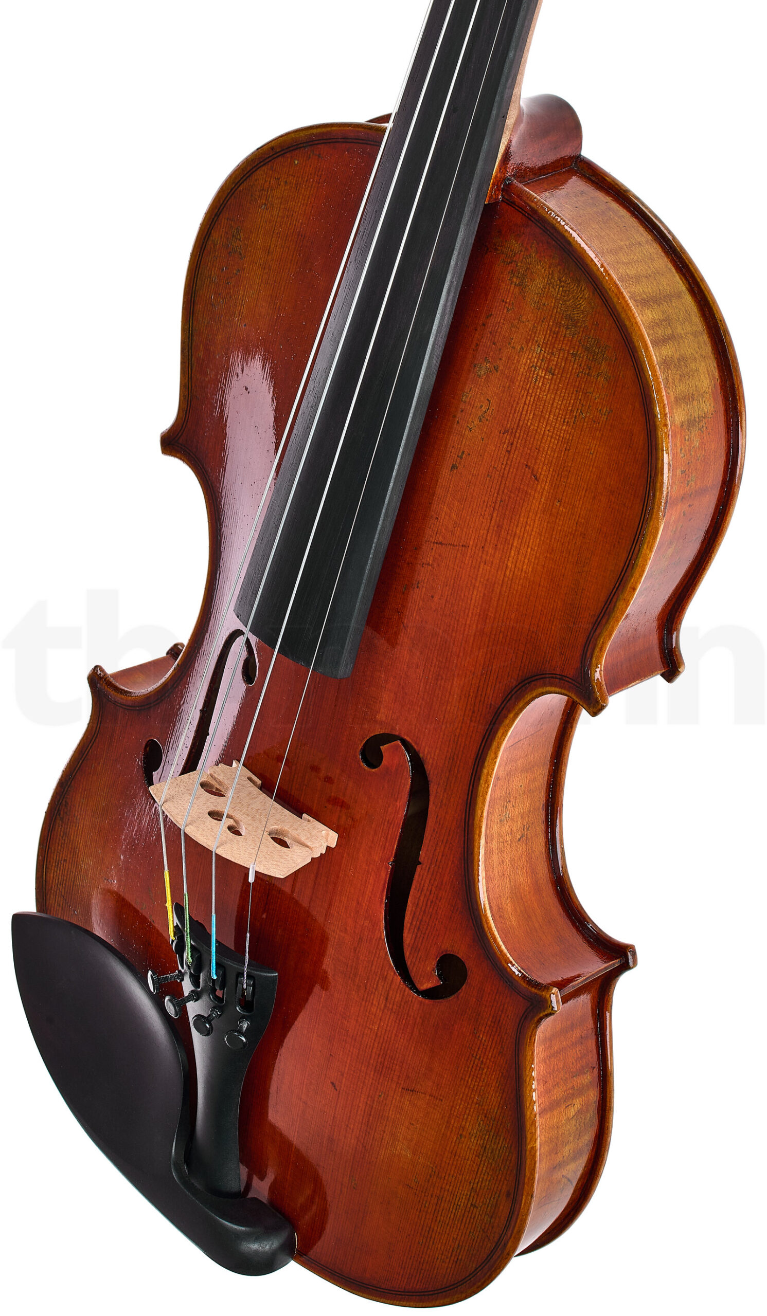 כלי קשת Eastman Albert Nebel Violin VL601G+ 3 כלי קשת Eastman Albert Nebel Violin VL601G+ – תמונה 3