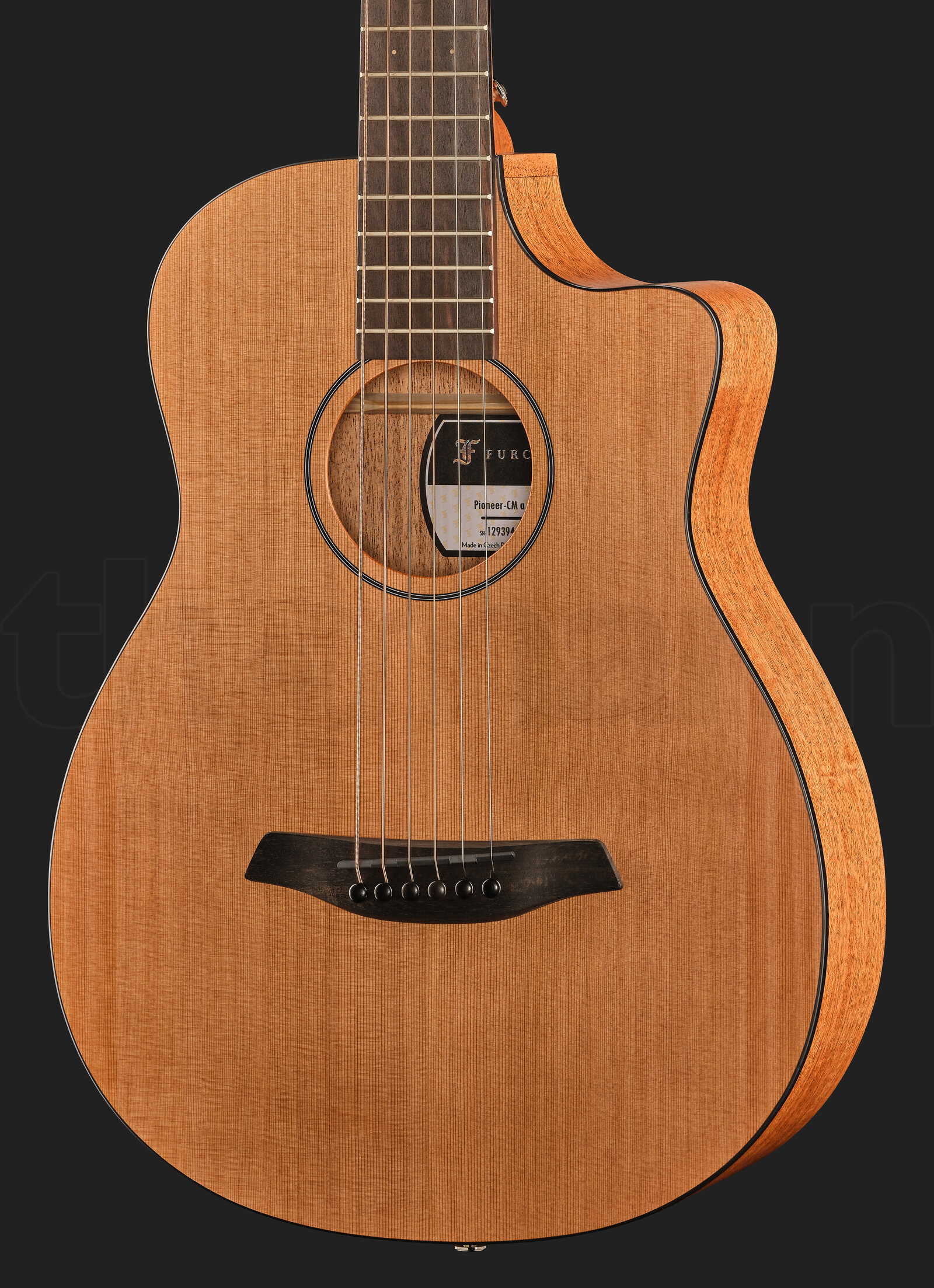 גיטרה אקוסטית Furch Pioneer-CM a 3 20166634.jpg