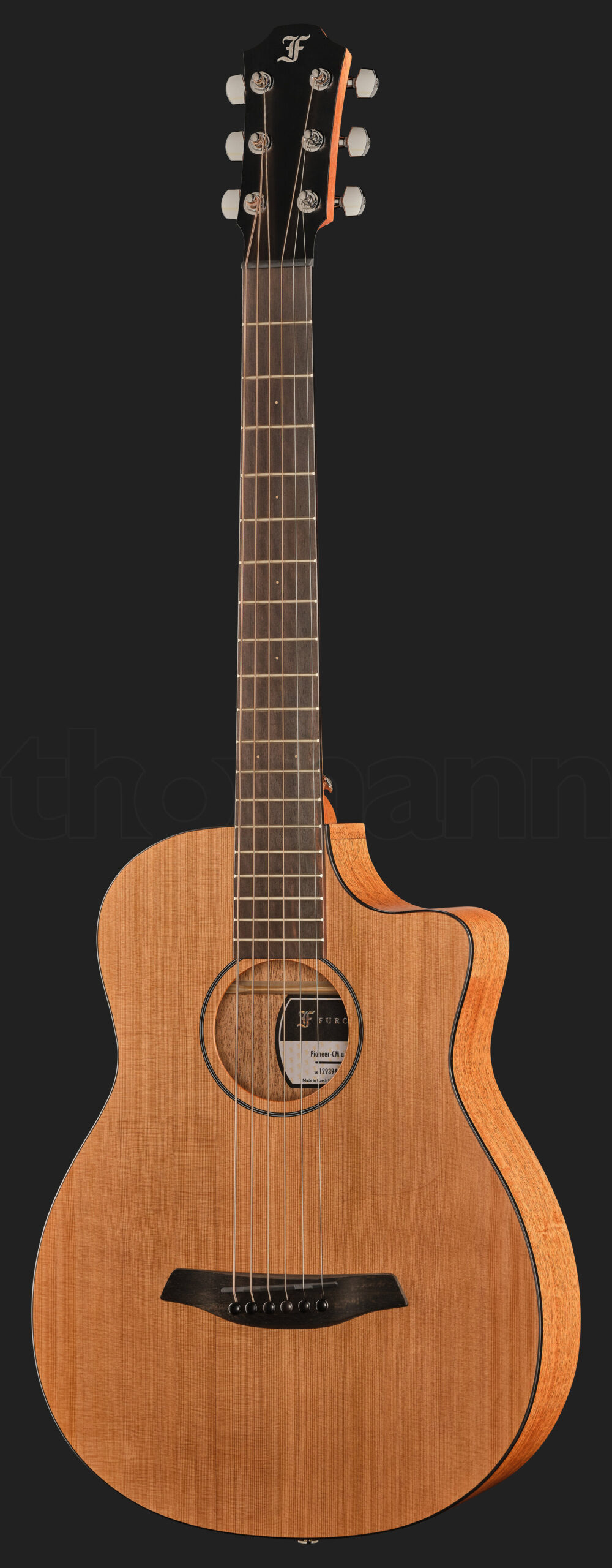 גיטרה אקוסטית Furch Pioneer-CM a 1 20166689.jpg