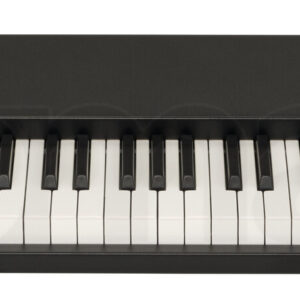 סינתסייזר Manikin-Electronic Memotron M2K Black