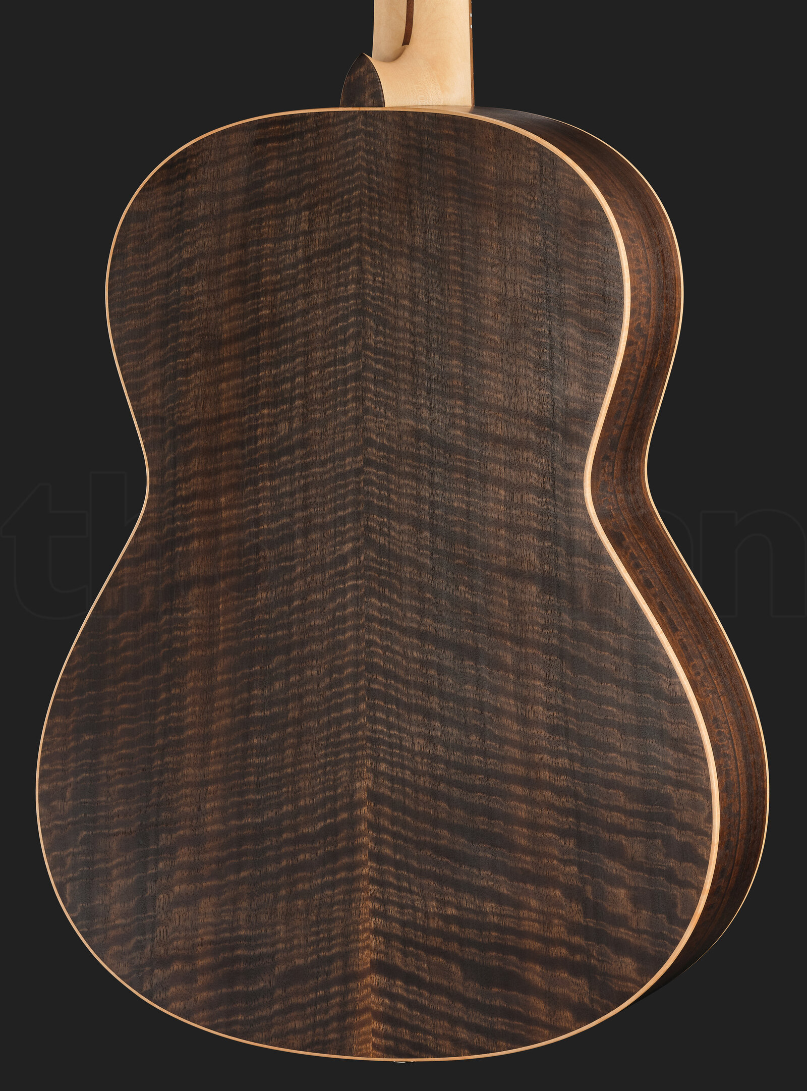 גיטרה אקוסטית Höfner HA-CS2025 Steelstring 3 גיטרה אקוסטית Höfner HA-CS2025 Steelstring – תמונה 3