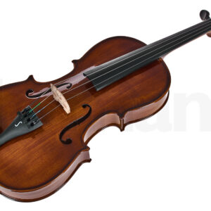 כלי קשת Stentor SR1505 Viola Student II 16,5″
