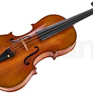 כלי קשת Hidersine Venezia Antiqued Viola Set 15