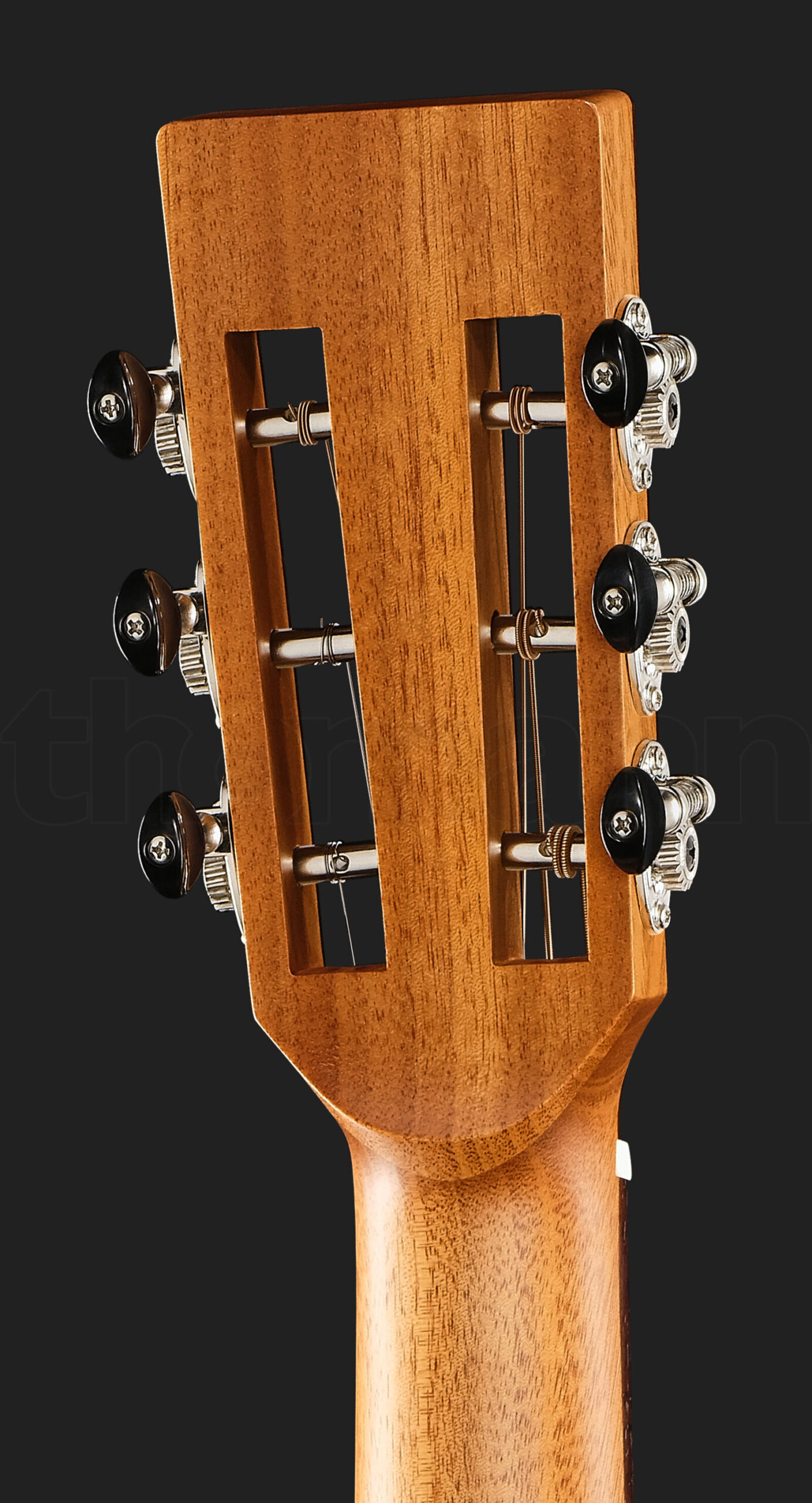 גיטרה אקוסטית Richwood P-50 Parlor 6 20908171.jpg