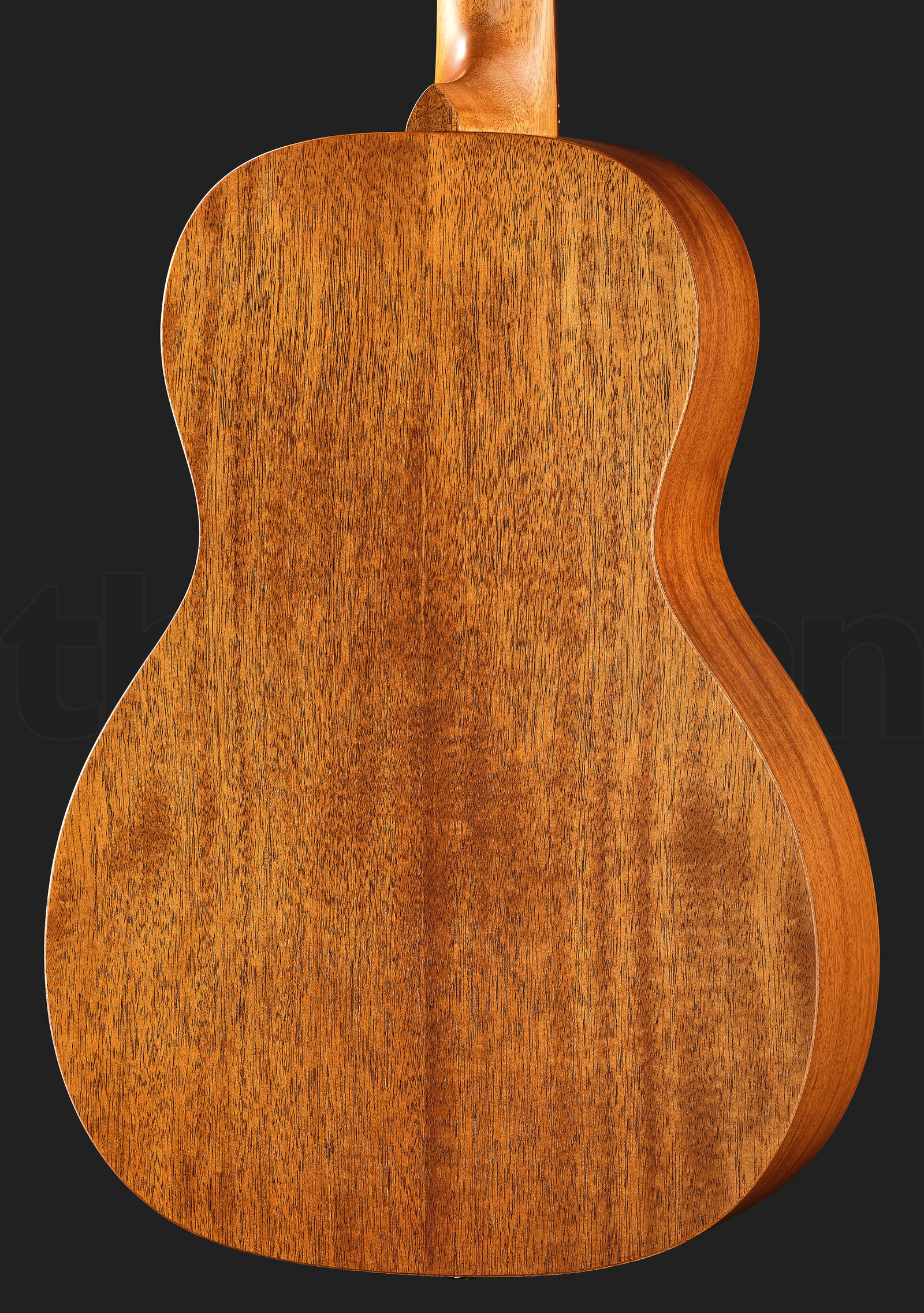 גיטרה אקוסטית Richwood P-50 Parlor 4 20908181.jpg
