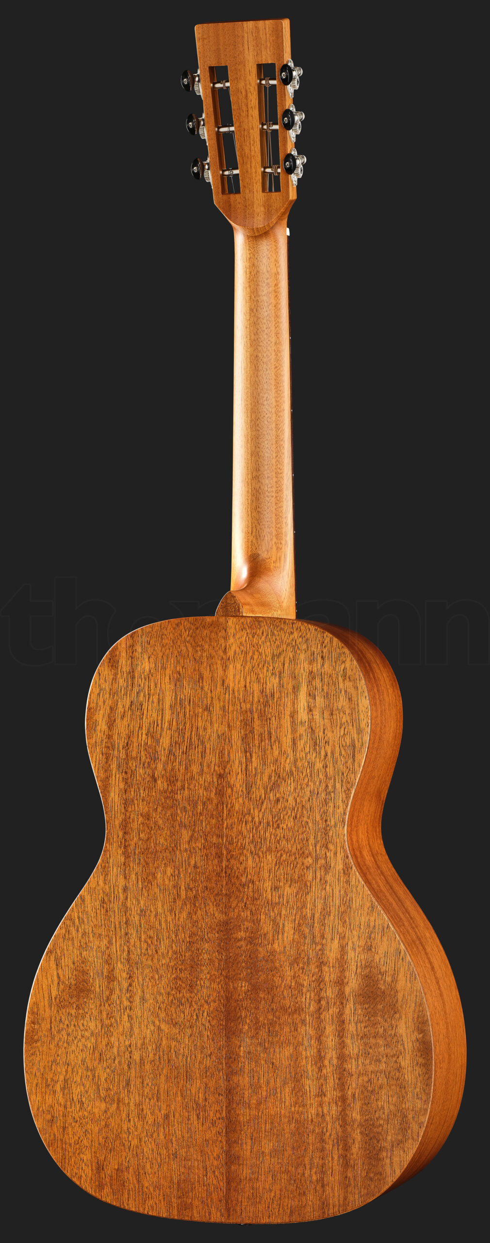 גיטרה אקוסטית Richwood P-50 Parlor 2 20908211.jpg