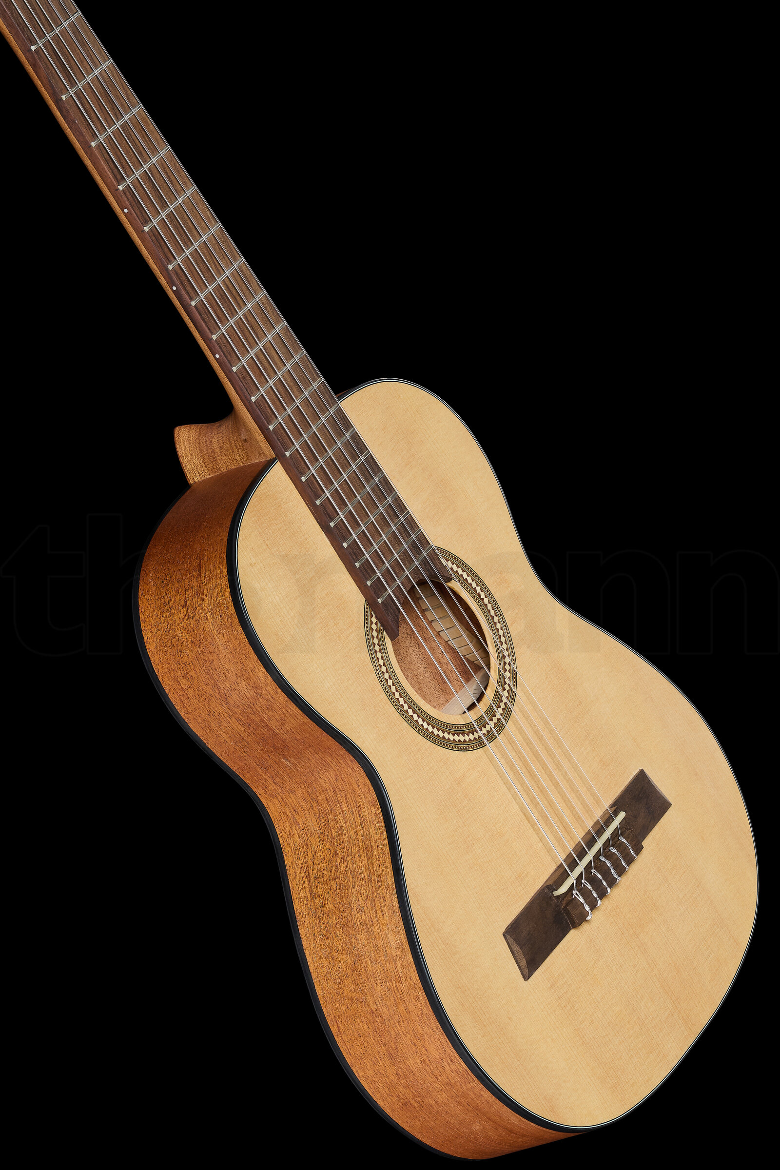 נרתיק Höfner HF 13-1/2 Classical w/GigBag 4 21109505.jpg