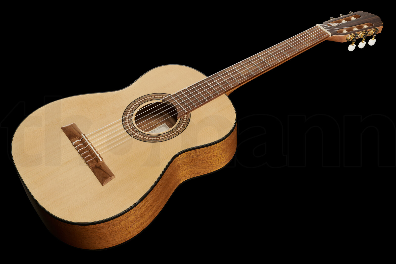נרתיק Höfner HF-13-3/4 w/GigBag 3 21109700.jpg