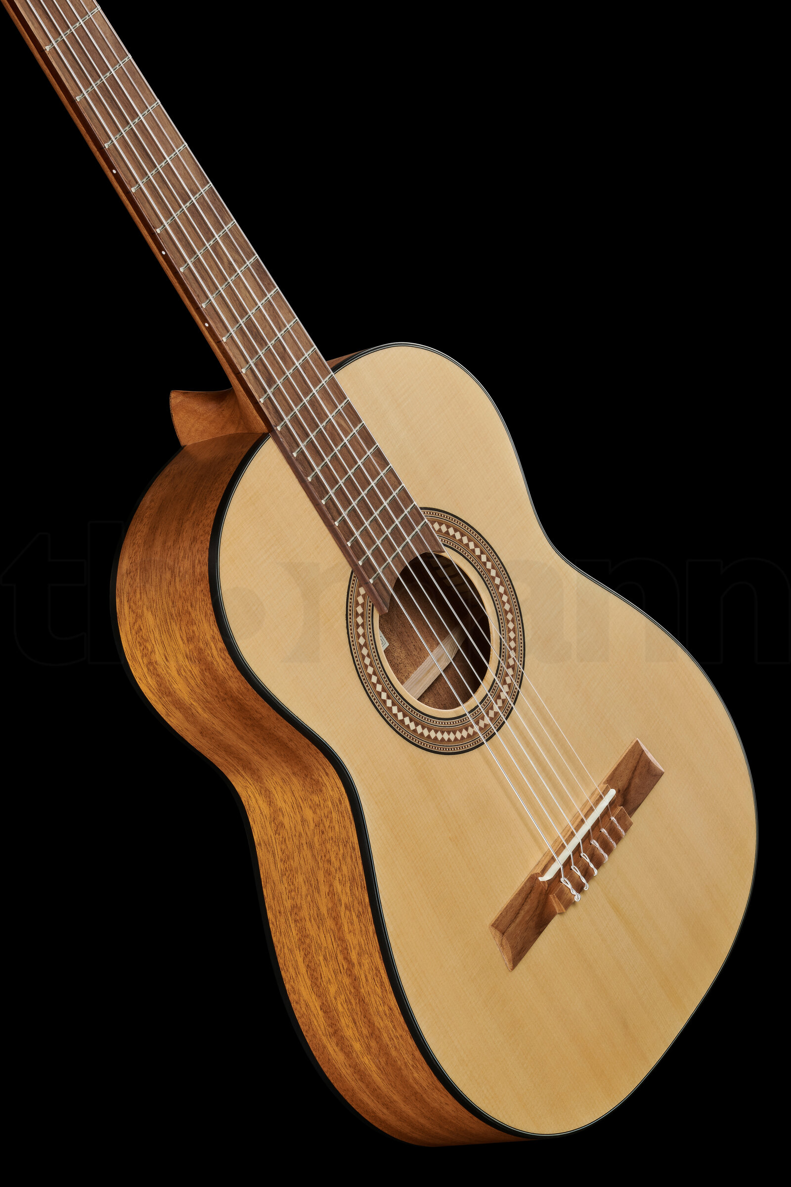 נרתיק Höfner HF-13-3/4 w/GigBag 4 21109705.jpg