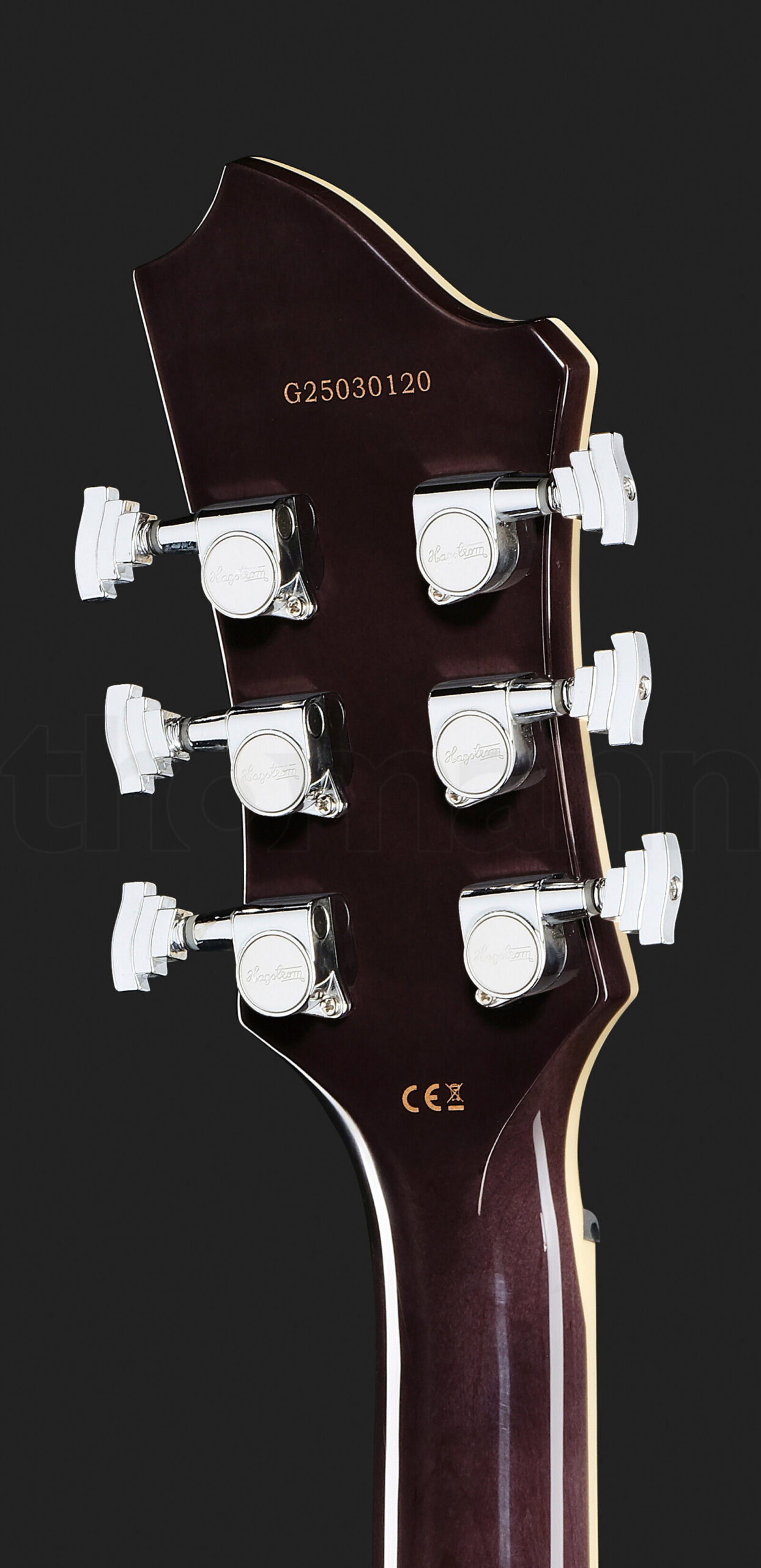 גיטרה חשמלית Hagstrom Adina Dark Storm 6 21131964.jpg