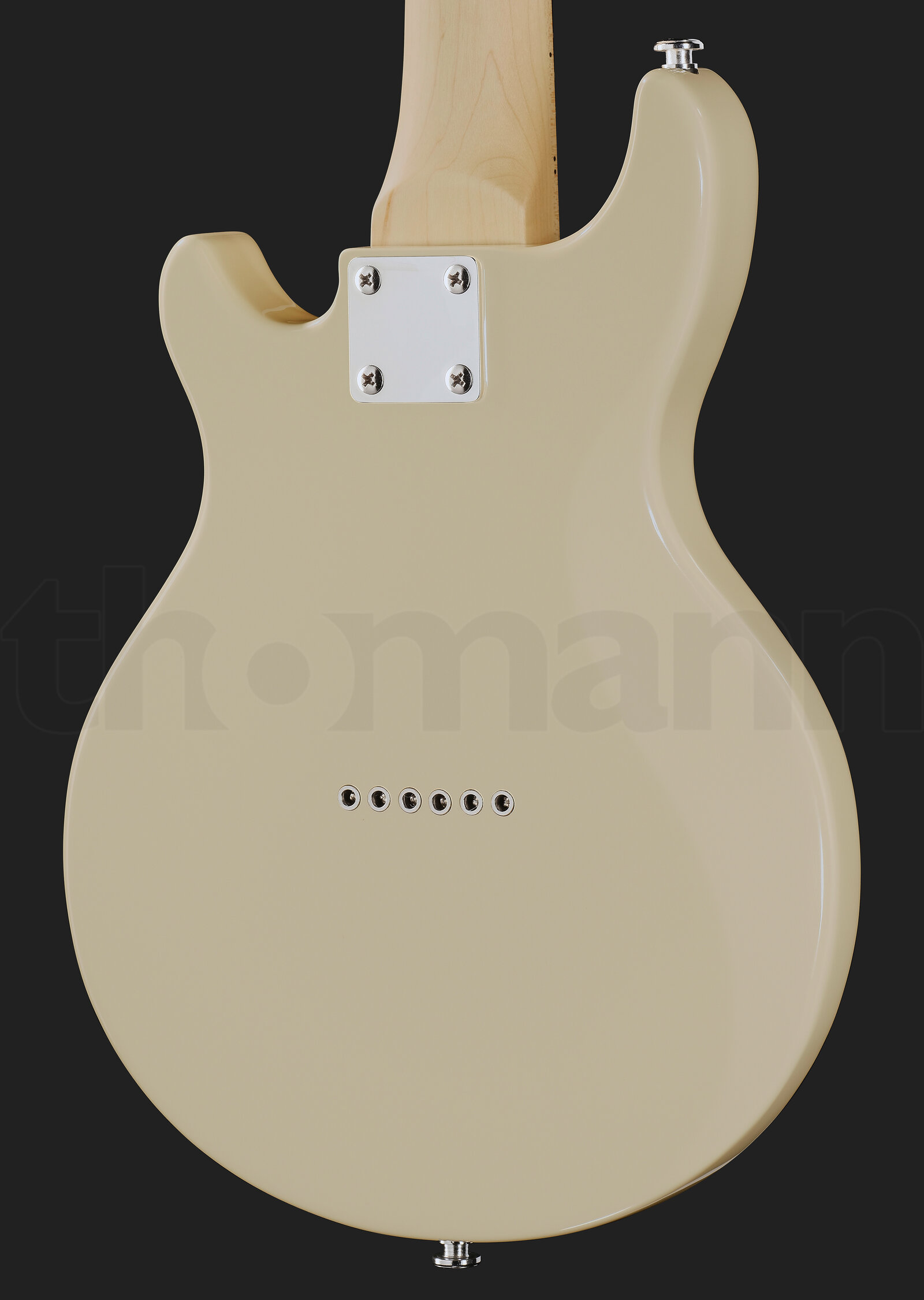 נרתיק Gold Tone GME-6 w/Bag 3 נרתיק Gold Tone GME-6 w/Bag – תמונה 3